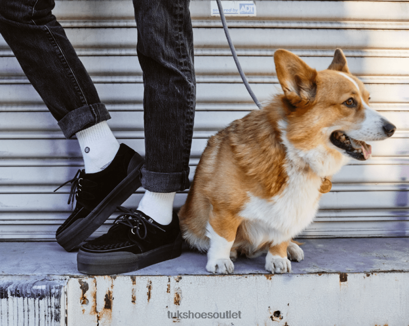 T.U.K. Footwear Suede Platform Creeper Sneaker Women Black Footwear HP228235